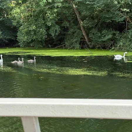 Peniche Sur La Seine Proche De Paris Vigneux-sur-Seine